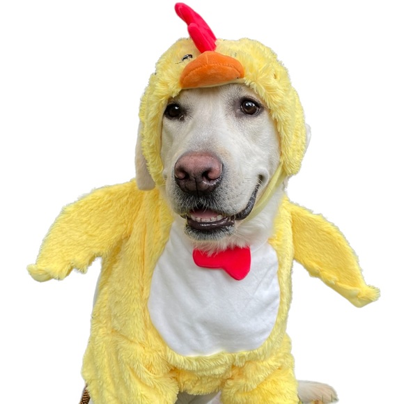 Target Other - Target Hyde and Eek Boutique Dog Costume Chicken XL